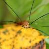 128611 – Photo : Mathurin CARNET – France (22)