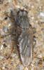 128469 – Photo : Vincent VALLI – France (35)
