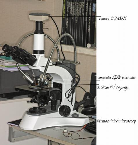 Réf. 129 611 : Microscope sp.