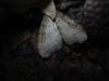 13036 – Photo : Nicolas Tobak – France (74)