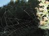 13024 – Photo : G. Cerda – France (05)