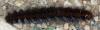 13040 – Photo : Jess – France (01)