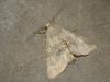 13709 – Photo : Arnaud Jean-Pierre – France (09)