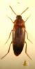 13061 – Photo : Zetrik – France (04)