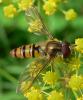 13090 – Photo : Louis Weitten – France (57)