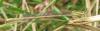 13080 – Photo : jujibru – France (40)