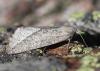 130332 – Photo : Eric SYLVESTRE – Andorre