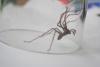 130151 – Photo : Anonyme – France (78)