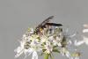 130381 – Photo : Nicolas Baudet – France (39)