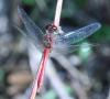 130405 – Photo : Pierre Duhem – France (73)