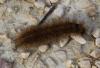 130578 – Photo : Pierre Duhem – France (73)