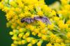 130657 – Photo : Pierre Duhem – France (73)