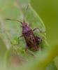 130658 – Photo : Pierre Duhem – France (73)