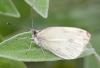 130660 – Photo : Pierre Duhem – France (73)