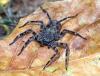 130597 – Photo : Arnaud Henrard – Rwanda
