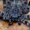 130598 – Photo : Arnaud Henrard – Rwanda