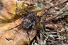 130596 – Photo : Arnaud Henrard – Rwanda