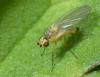 130274 – Photo : Christophe Quintin – France (21)