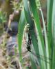 130344 – Photo : Didier Houbrechts – Belgique