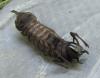 130539 – Photo : oliwave – France (46)