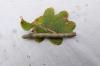 130413 – Photo : Vita – France (53)
