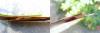 130417 – Photo : Vita – France (53)