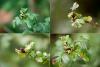 130554 – Photo : Pierre Duhem – France (73)