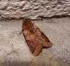 130571 – Photo : Arnaud Jean-Pierre – France (09)