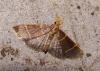 130613 – Photo : Arnaud Jean-Pierre – France (09)