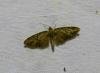 130051 – Photo : Jean PELE – France (62)