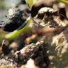 130366 – Photo : Mathurin CARNET – France (22)