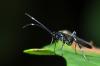 130176 – Photo : Christophe Quintin – France (21)