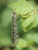 130397 – Photo : Lunox – France (93)