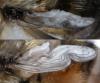 130411 – Photo : lauriaut – France (84)