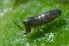 130980 – Photo : Christophe Quintin – France (21)
