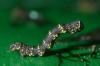 130140 – Photo : Christophe Quintin – France (21)