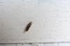 130602 – Photo : Vita – France (53)