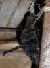 130146 – Photo : DOM17LR – Madagascar