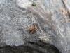 130903 – Photo : Guénael Hallart – France (02)