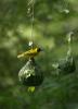 130410 – Photo : vanderbergh – Tchad