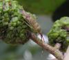 130477 – Photo : Maria Justamond – France (27)