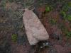 130461 – Photo : Dominique THAUVIN – France (45)