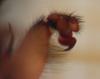 130308 – Photo : Alexanor – France (46)