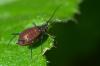 130419 – Photo : Christophe Quintin – France (21)