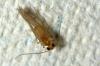 130951 – Photo : Christophe Quintin – France (21)