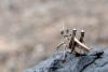 131203 – Photo : David Sannier – Espagne