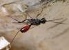 131021 – Photo : Renko Usami – France (62)