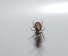 131012 – Photo : Maxime Zucca – France (95)