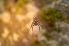 131013 – Photo : Maxime Zucca – France (95)