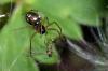 131104 – Photo : Christophe Quintin – France (21)
